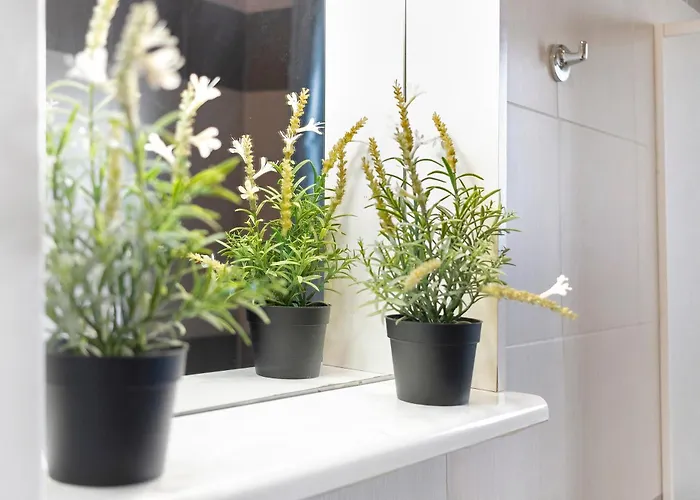 Bio Bonizio Nel Borgo Bed & Breakfast