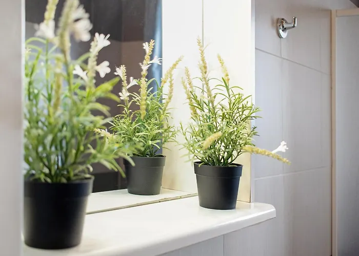 Bed & Breakfast Bio Bonizio Nel Borgo 3*